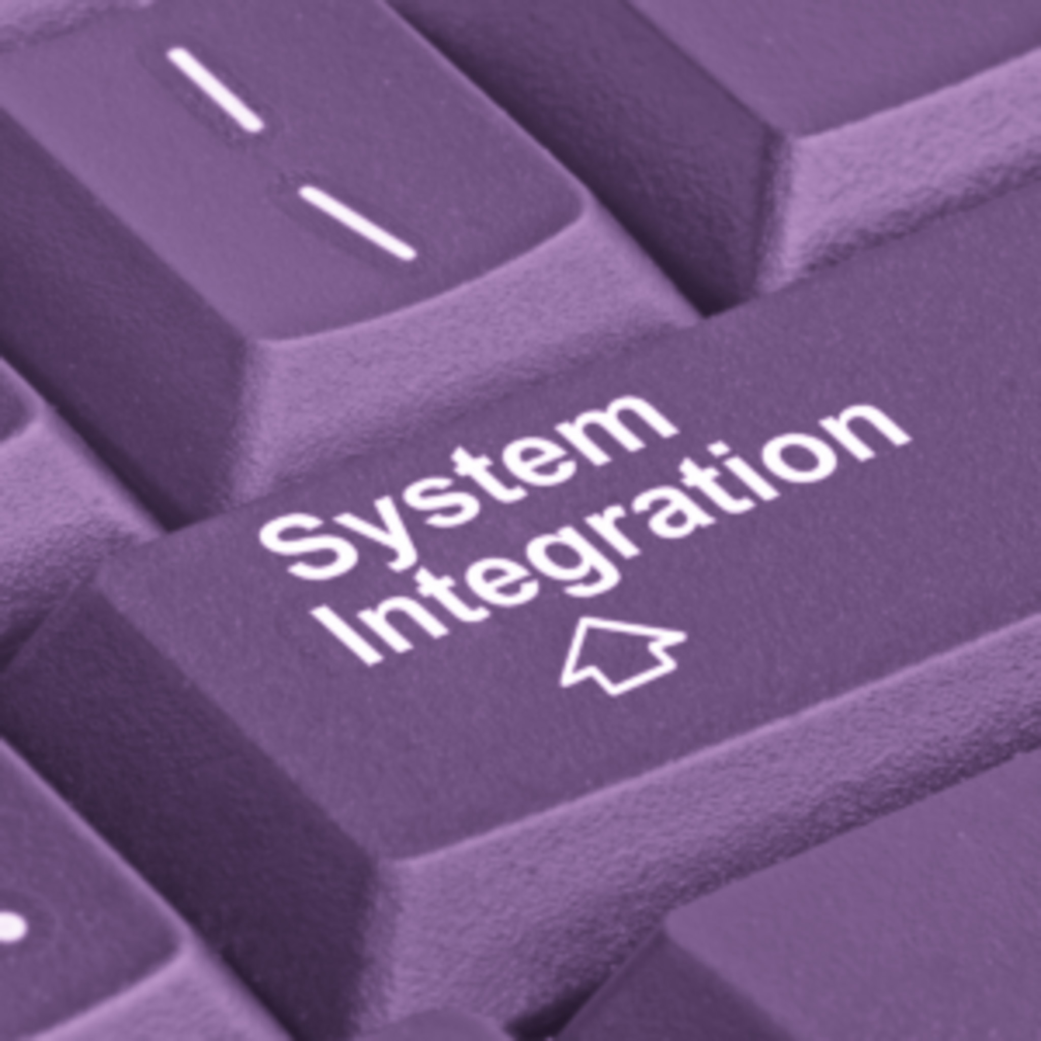 De geheimen van een succesvolle integratie