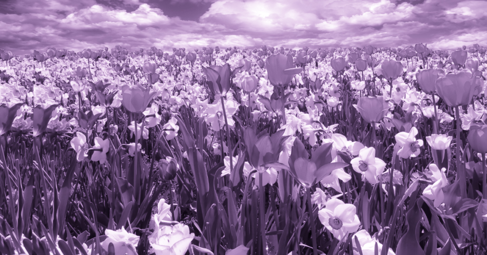 Salesforce Spring ’23 Release – Wat is nieuw?