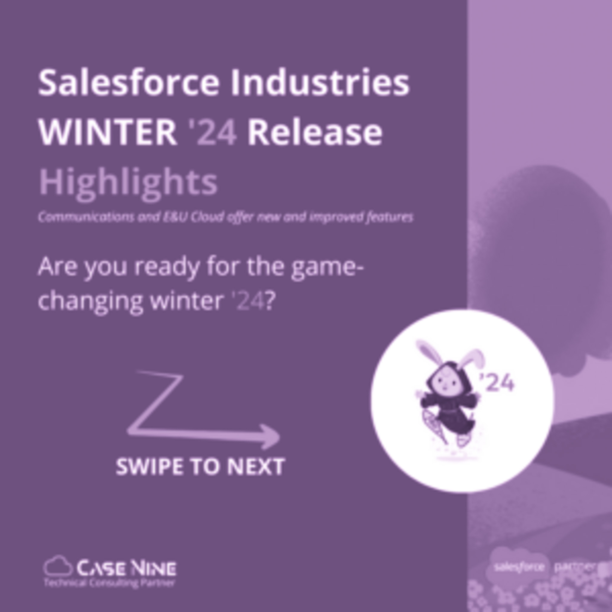 Salesforce Industries Winter Release ’24