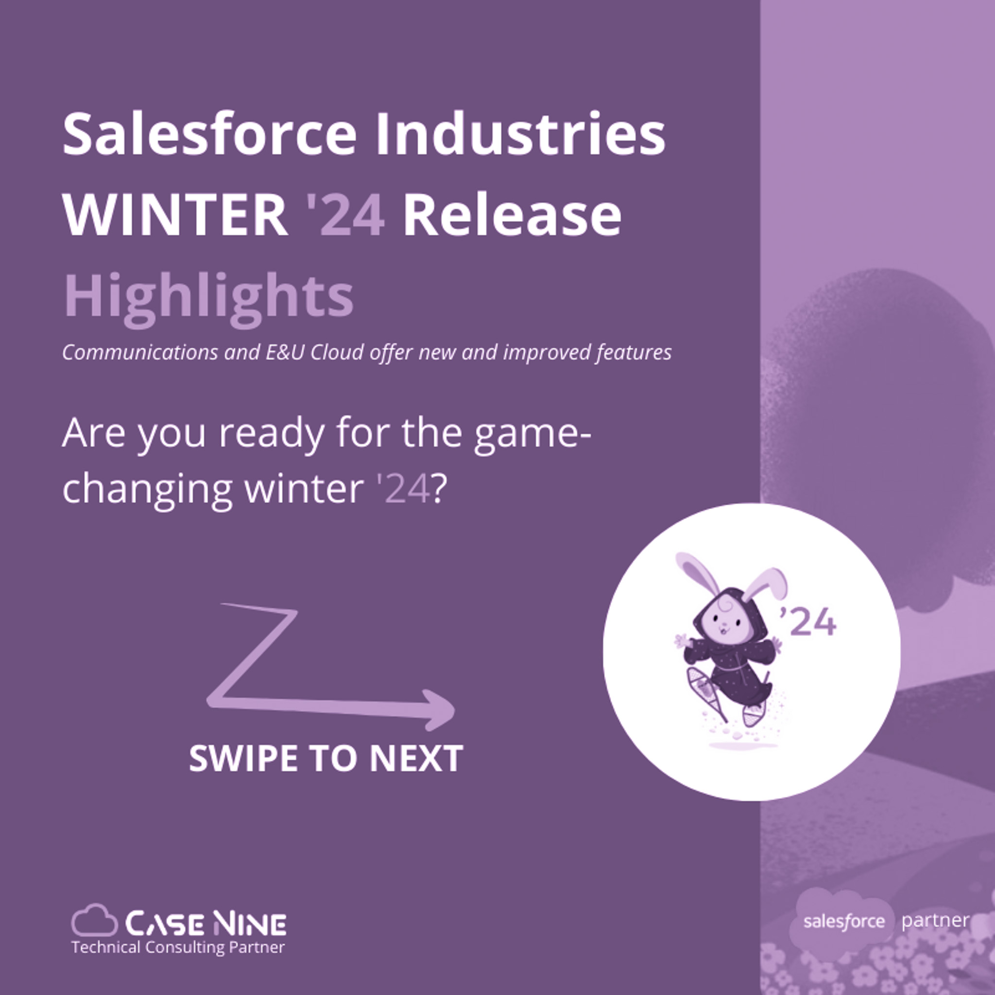 Salesforce Industries Winter Release ’24